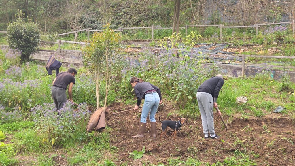 Non ci siamo fermati. E non ci fermeremo.